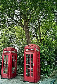 两个,红色,电话亭,樱草花,山,伦敦
