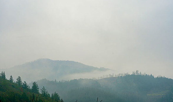 重庆酉阳,春晨雨中朦胧美