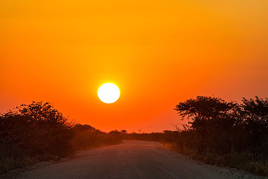 日落,埃托沙国家公园,纳米比亚,非洲