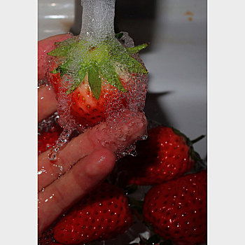 水与草莓9