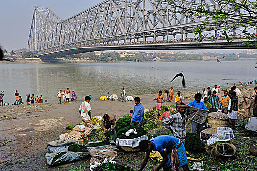 印度,加尔各答,河,传统,花市,靠近,桥