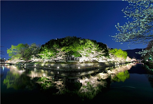 湖,运河,日本,夜晚