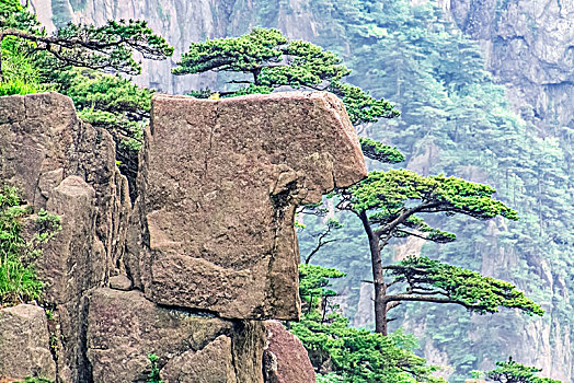 安徽省黄山市黄山风景区西海大峡谷自然景观