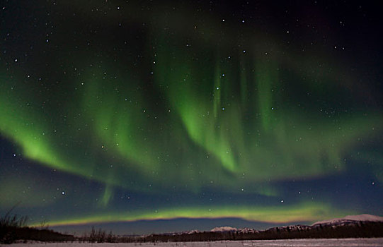 螺旋,北极光,极地,极光,绿色,靠近,育空地区,加拿大