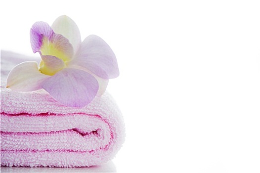 粉色,毛巾,兰花,白色背景,背景,区域
