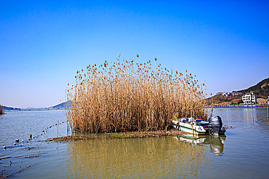 水面,水畔,水岸