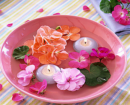 天竺葵,花,叶子,浮水蜡烛,碗