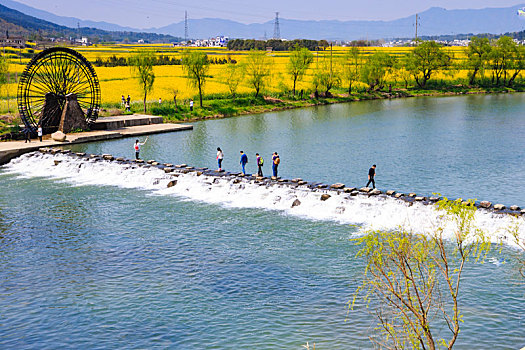 安徽,家朋,春天,春色,徽居,阳光,春意,油菜花,田园,乡村,山川,山,清明