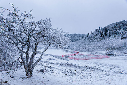 重庆金佛山雪白的童话世界