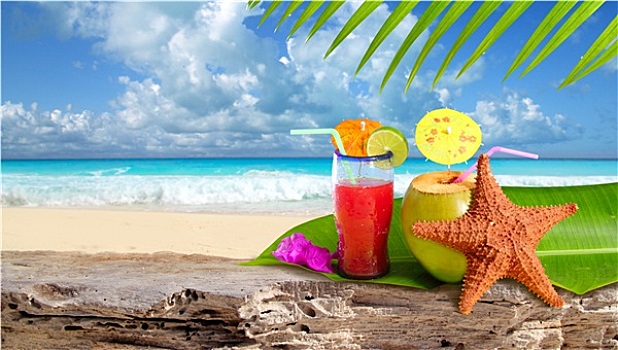 椰树,鸡尾酒,海星,热带沙滩