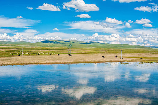 蓝天白云下的湖泊草原山脉风光,高原牧群,中国西藏
