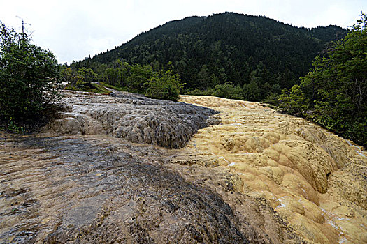 四川阿坝黄龙风光