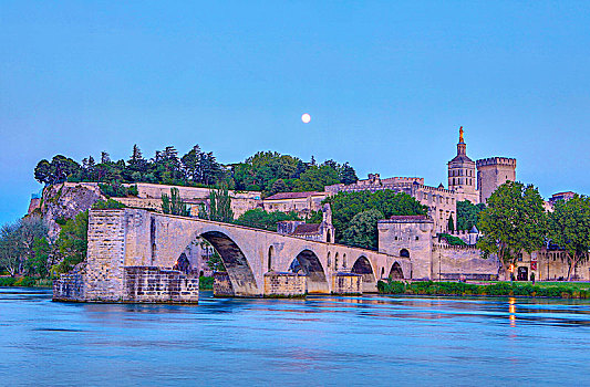 法国,普罗旺斯,区域,阿维尼翁,城市,教皇,宫殿,桥,隆河,月光