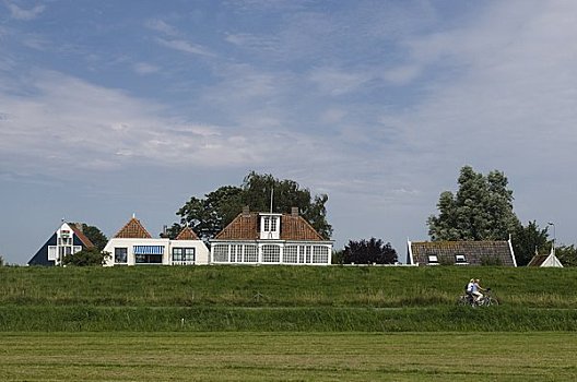 骑车,堤岸,房子,北荷兰,荷兰