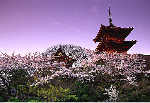 清水寺,京都,日本