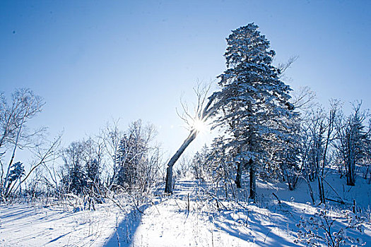 吉林北大壶滑雪场