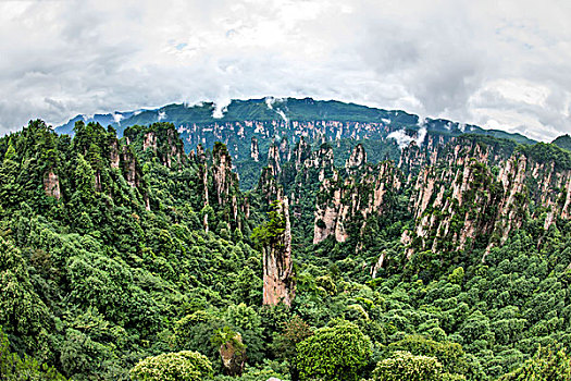 湖南,张家界,峰林,云雾