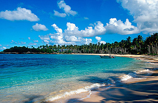 多米尼加共和国,加勒比