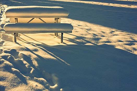 铝,野餐桌,城市公园,阿拉斯加,冬天