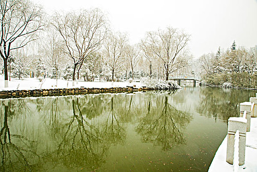 雪景