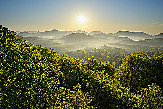 日出,上方,山峦,莱茵兰普法尔茨州,德国