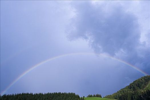 彩虹,上方,地点,树,萨尔茨堡,奥地利