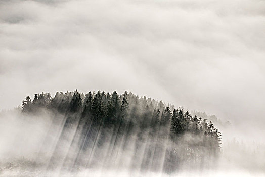 云量,山谷,藻厄兰,北莱茵威斯特伐利亚,德国