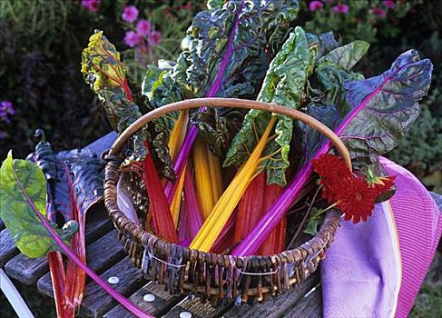 甜菜,色彩,茎,柳条篮