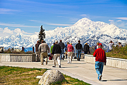 游客,景色,南方,阿拉斯加山脉,麦金利山,看,公园,公路,河,向外看,阿拉斯加,春天
