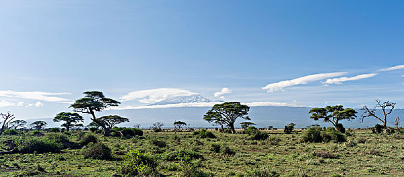 乞力马扎罗山,风景,安伯塞利国家公园,肯尼亚,非洲