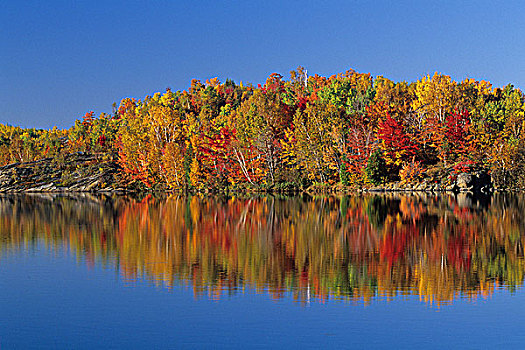 湖,反射,安大略省,加拿大