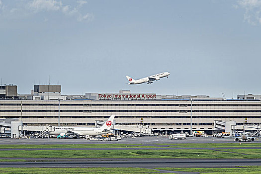 飞机,羽田,机场,日本