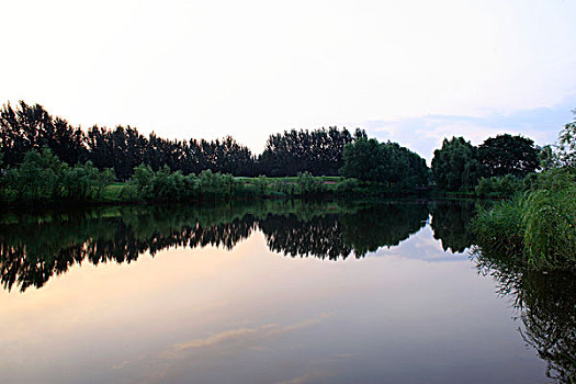 湖,树木