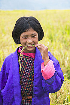 不丹,乡村,头像,女孩,稻田
