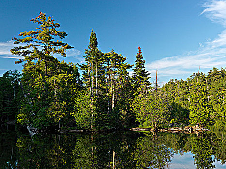 河,自然风光,保护区,安大略省,加拿大