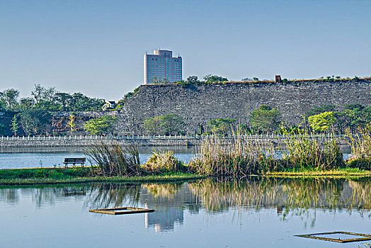 江苏省南京市紫金山景区湿地自然景观