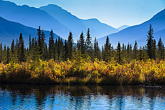 秋天,植被,和山,范围,朱砂湖,班夫附近,班芙国家公园,阿尔伯塔,加拿大