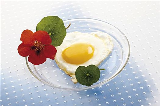 煎鸡蛋,心形,玻璃板,旱金莲