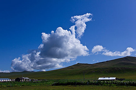 额尔古纳河,恩河,哈马尔河林地