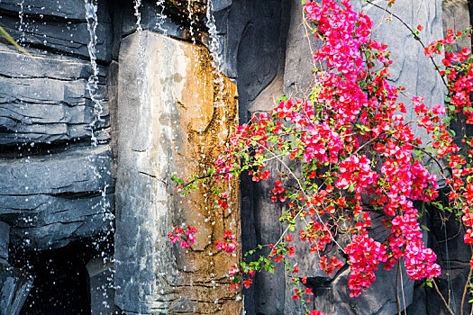 临沂兰陵国家农业公园热带雨林人造瀑布花朵美图