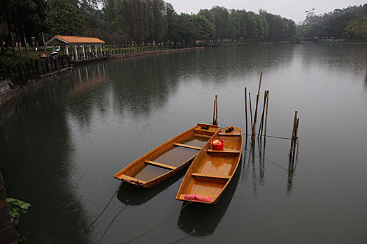 广州,白云仙馆,湿地公园,河道,水塘,植物,治理,树木,休闲,公园