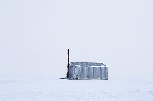 小屋,海冰,岛屿,南极