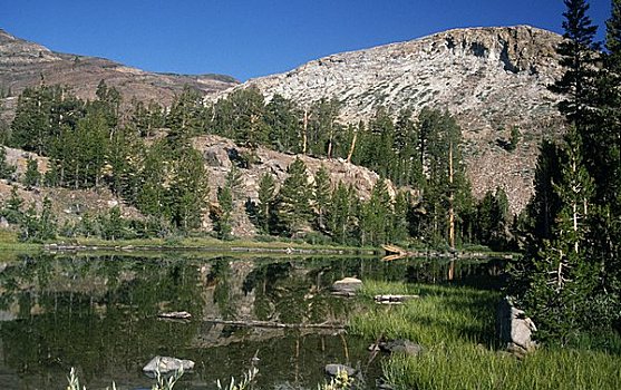 河,流动,山峦,优胜美地国家公园,加利福尼亚,美国