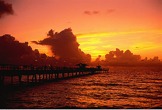 俯视,码头,日落,劳德代尔堡,佛罗里达,美国