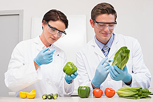 科学家,检查,蔬菜