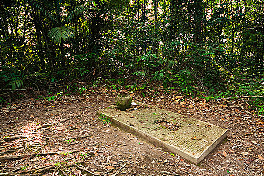 墓碑,树林,巴唐,国家公园,沙捞越,马来西亚,婆罗洲