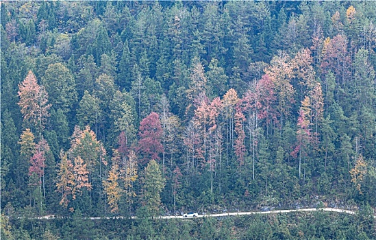 重庆酉阳,冬景,迷人,二