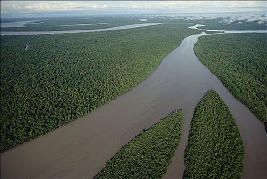 航拍,河,河流,低地,热带雨林,海湾,巴布亚岛,巴布亚新几内亚