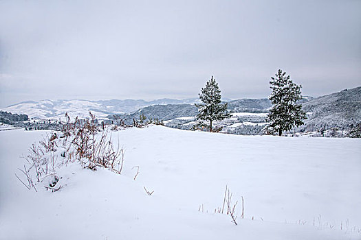 云南东川红土地雪原