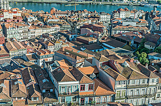 葡萄牙,波尔图,俯视,中心,屋顶,大幅,尺寸
